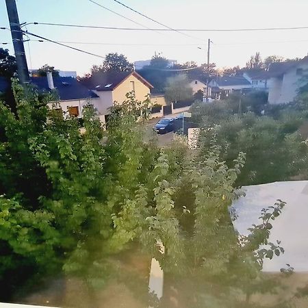 Appartement Tres Lumineux Et Calme. スヴラン エクステリア 写真